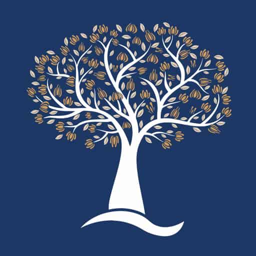 Official White logo Icon of AM Consulting & Management on blue background